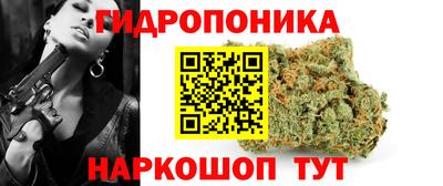 apvp Шахты
