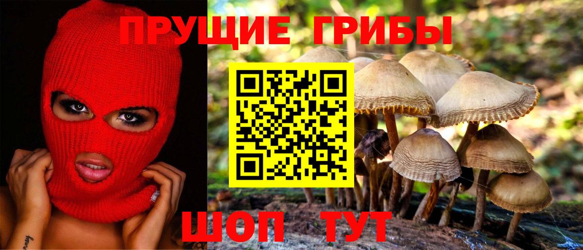 Галлюциногенные грибы Psilocybe Симферополь