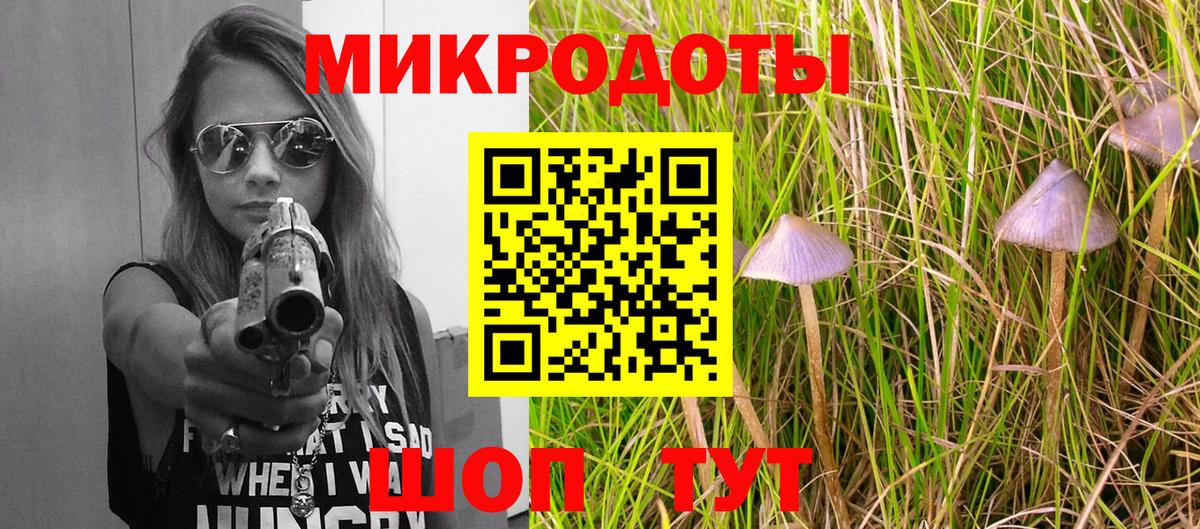 Симферополь  Псилоцибиновые грибы прущие грибы  Вход с VPN  Галлюциногенные грибы Psilocybine cubensis 